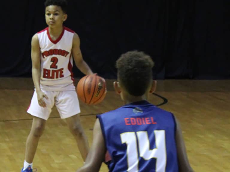 2019 moe reed friendship tournament, youth basketball tournaments, small fry basketball